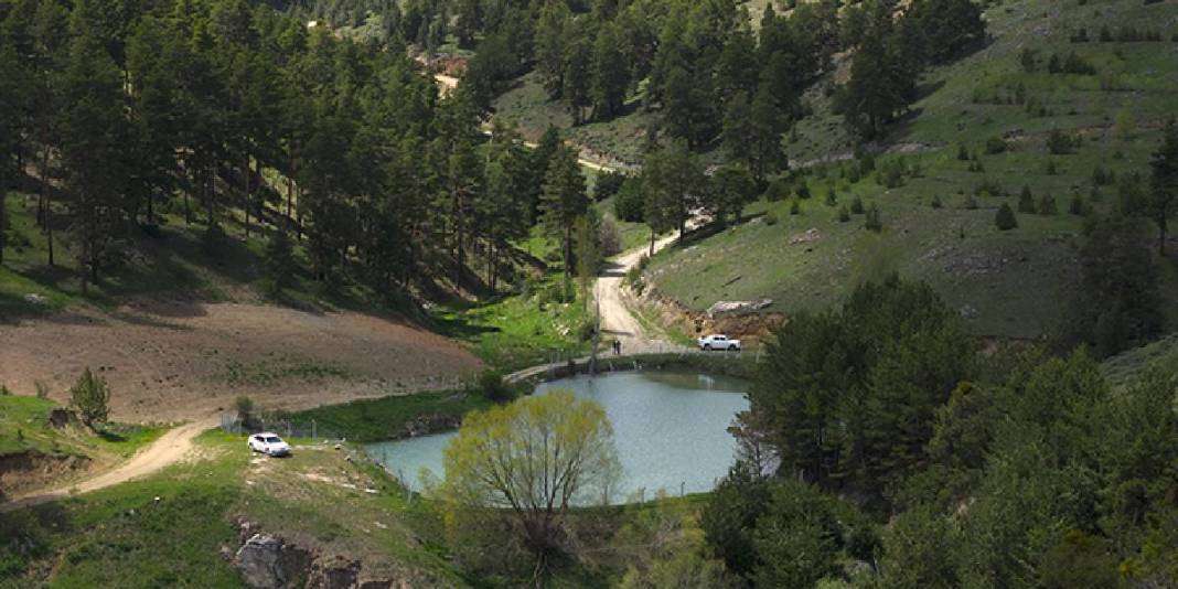 Hafta sonu rotanız şimdiden hazır! Kimse inanmıyor ama burası Yozgat’ta: Çam ormanlarının içinde saklı bir vaha 4